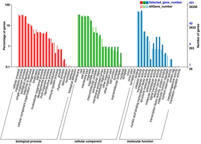 Transcriptome Profiling and Identification of the Candidate Genes Involved in Early Ripening in Ziziphus Jujuba